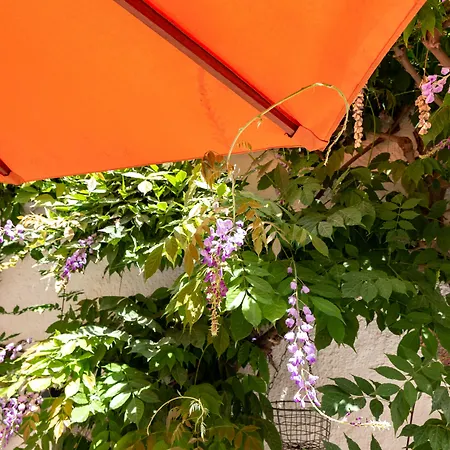 Hotel Sa Voga &